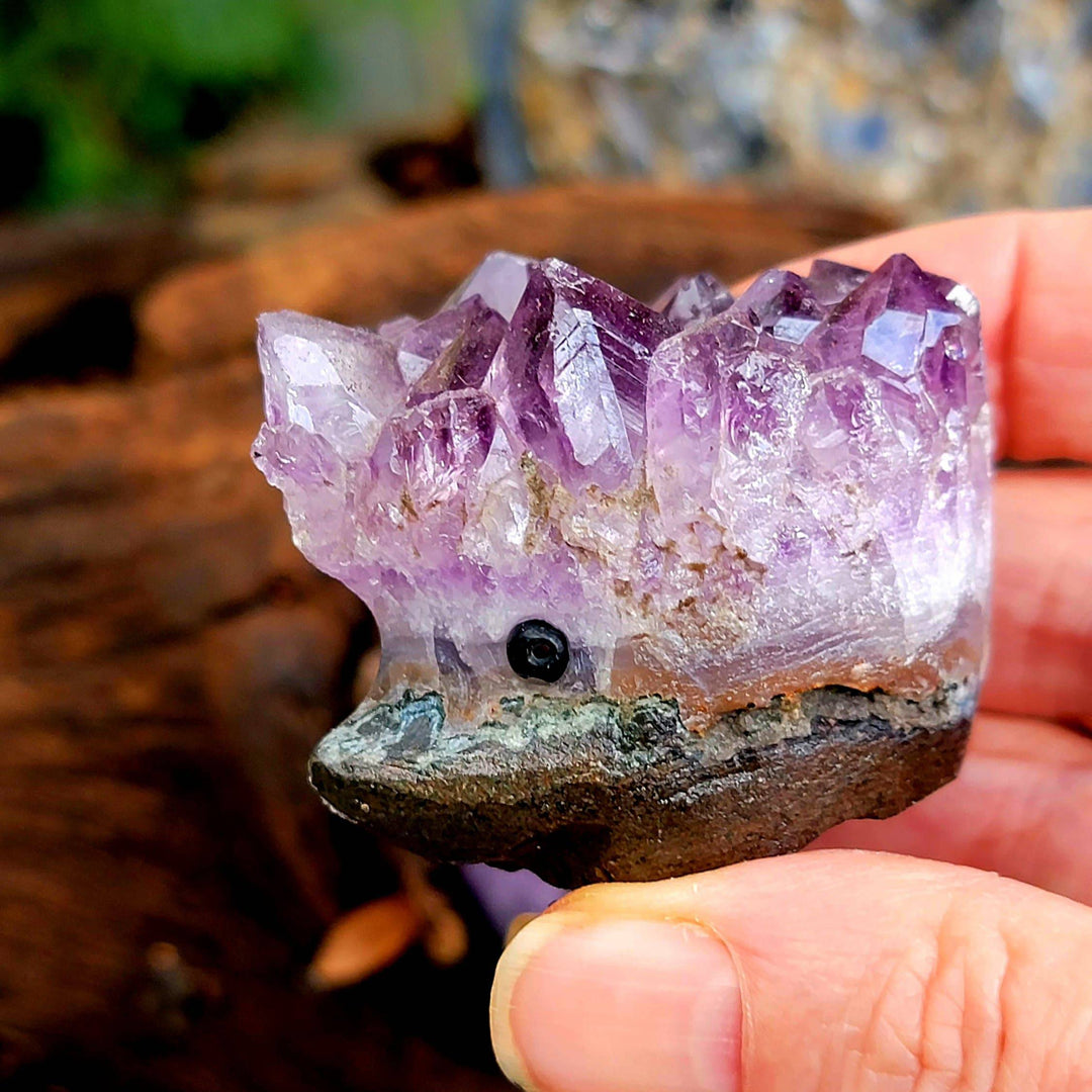 Raw Amethyst Hedgehogs Carving - SOUTHBAYSALTS 