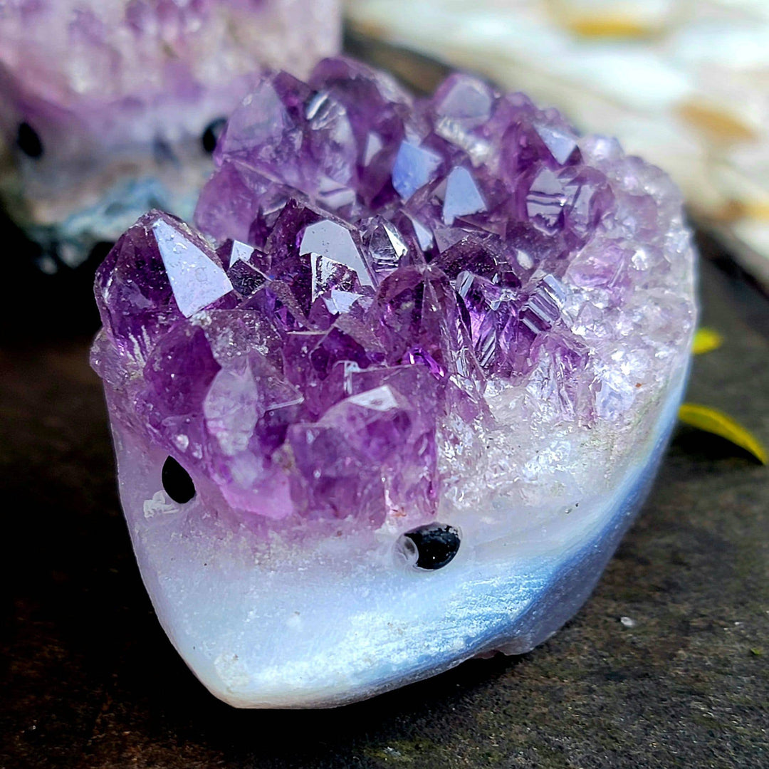 Raw Amethyst Hedgehogs Carving - SOUTHBAYSALTS 