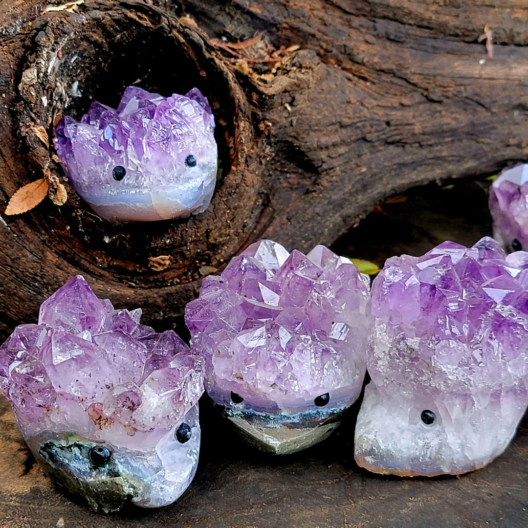 Raw Amethyst Hedgehogs Carving - SOUTHBAYSALTS 