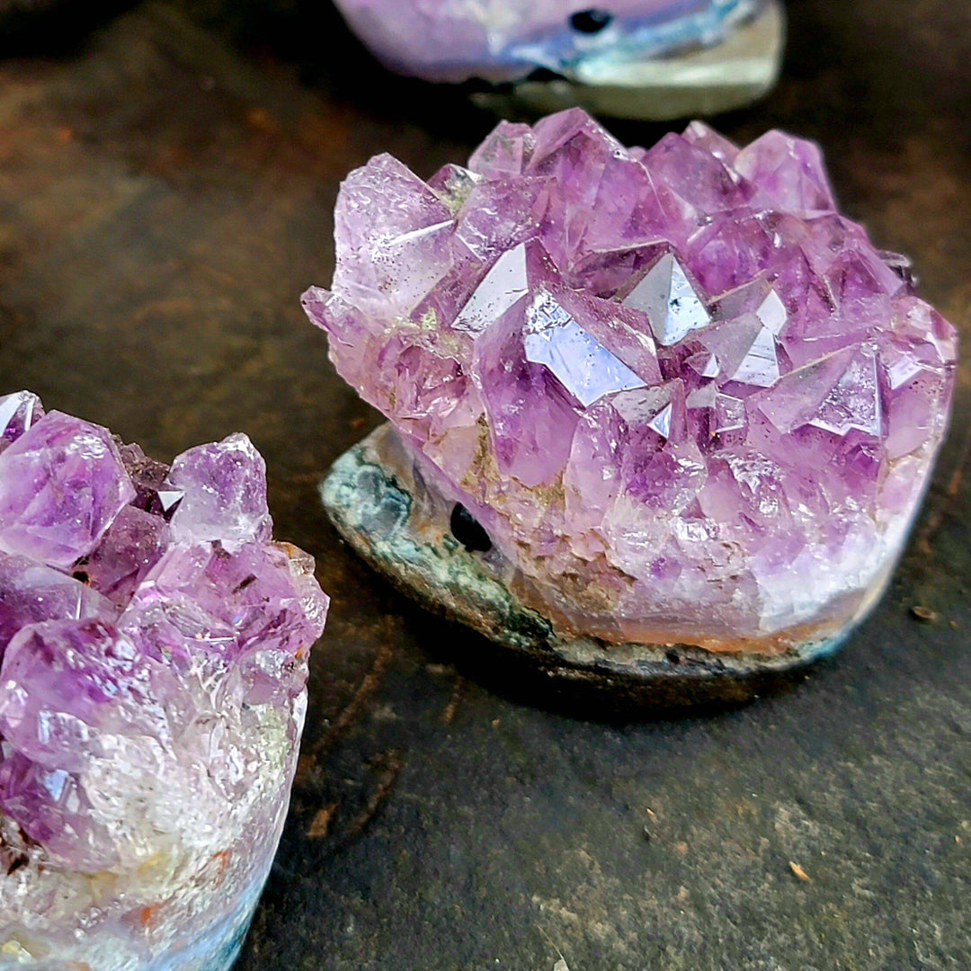 Raw Amethyst Hedgehogs Carving - SOUTHBAYSALTS 