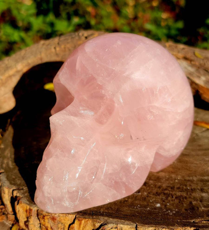 Rose Quartz Skull, Elegance with a Touch of Mystical Charm - SOUTHBAYSALTS 