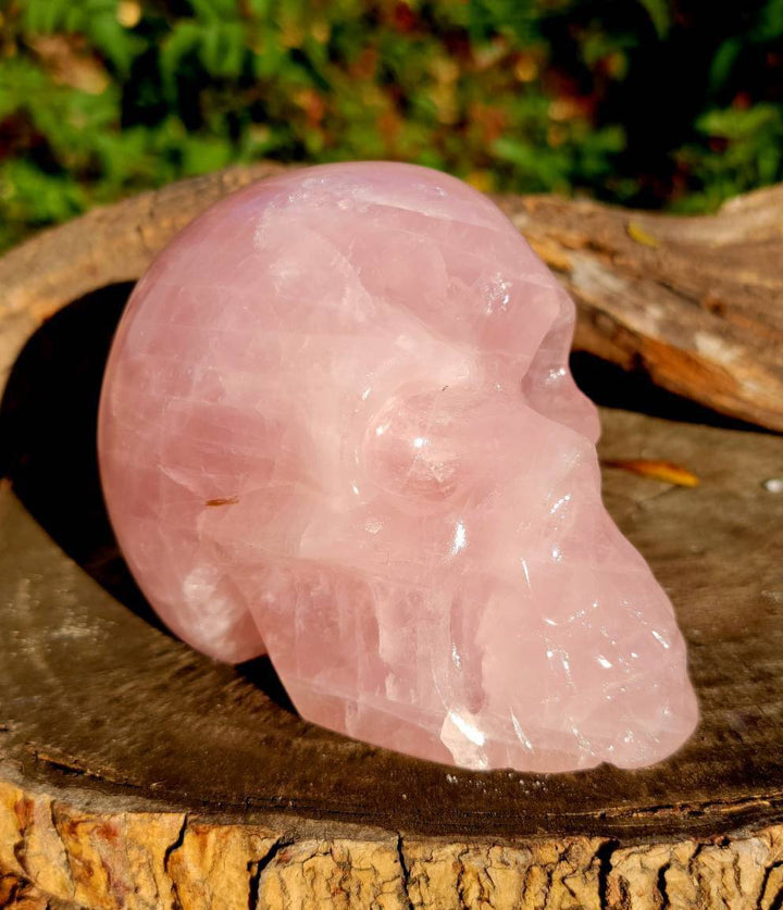 Rose Quartz Skull, Elegance with a Touch of Mystical Charm - SOUTHBAYSALTS 