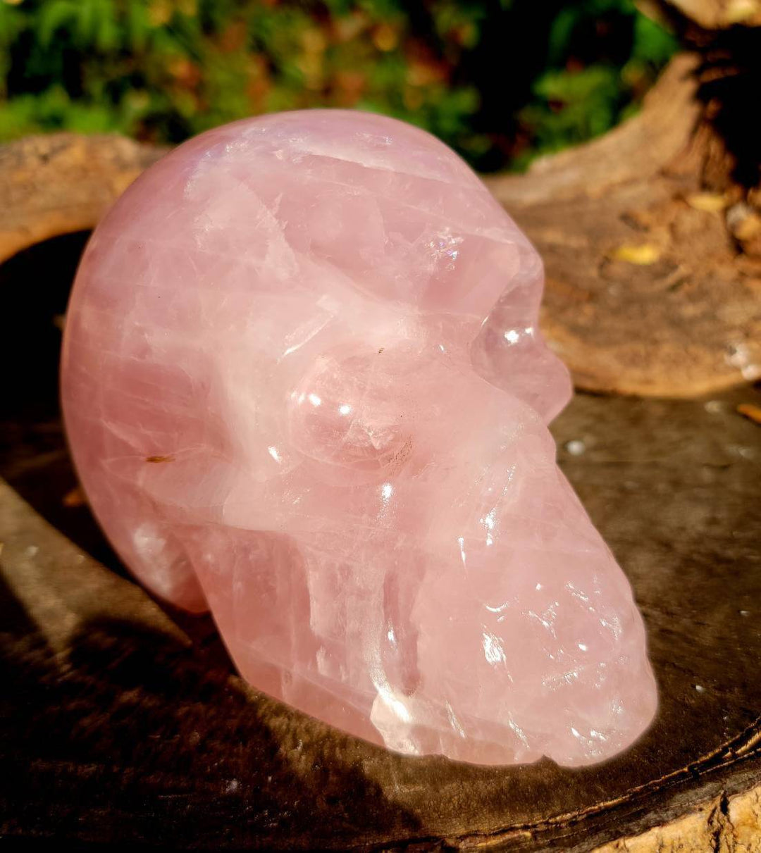 Rose Quartz Skull, Elegance with a Touch of Mystical Charm - SOUTHBAYSALTS 