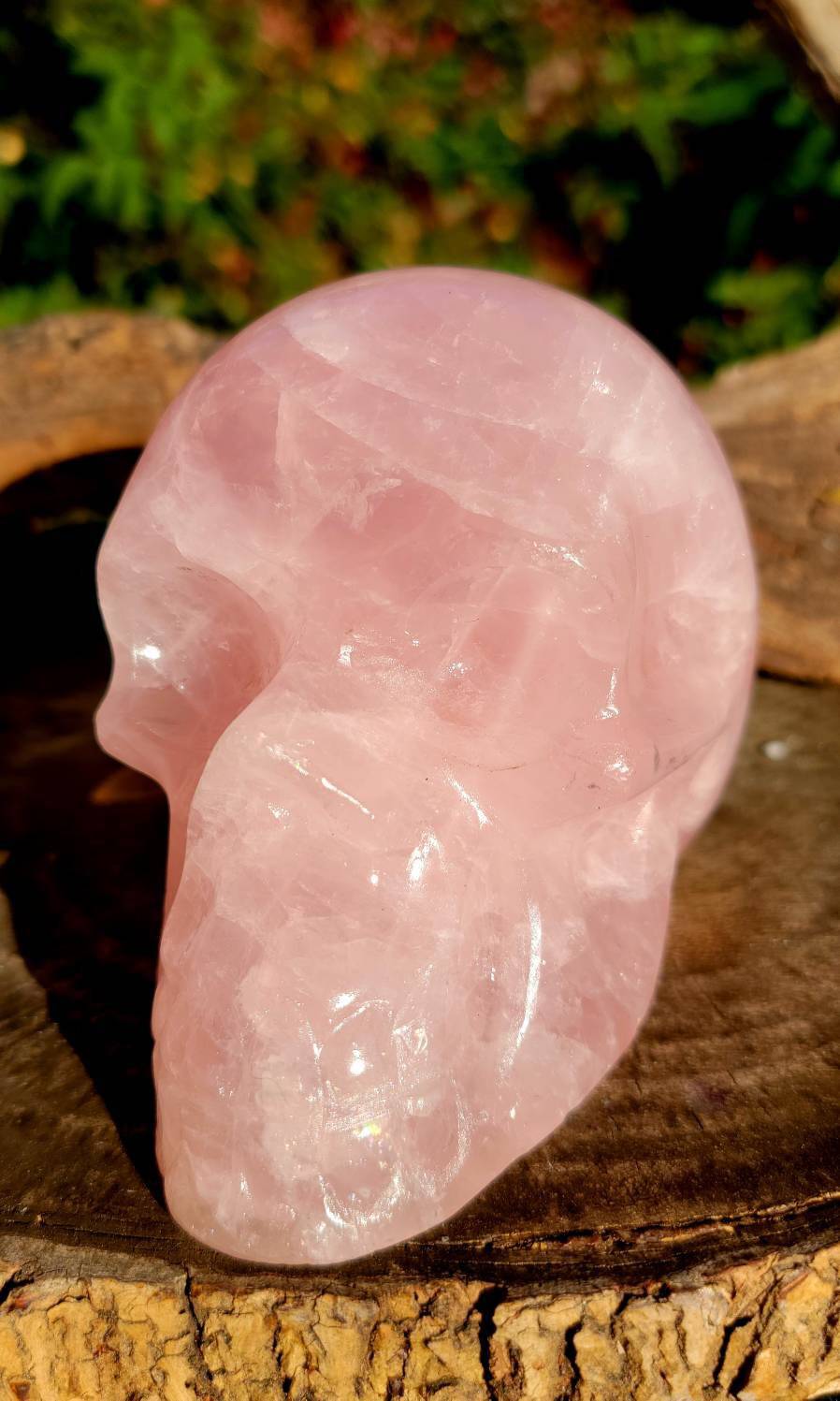 Rose Quartz Skull, Elegance with a Touch of Mystical Charm - SOUTHBAYSALTS 