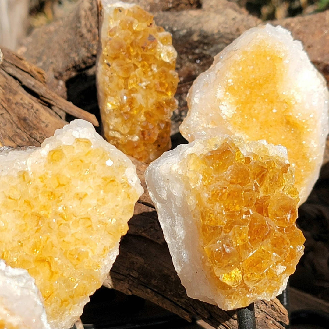 Raw Citrine Cluster on a metal stand, Stone of Abundance, Raw Citrine on a Stand, The Merchant Stone, Abundant Energy - SOUTHBAYSALTS 