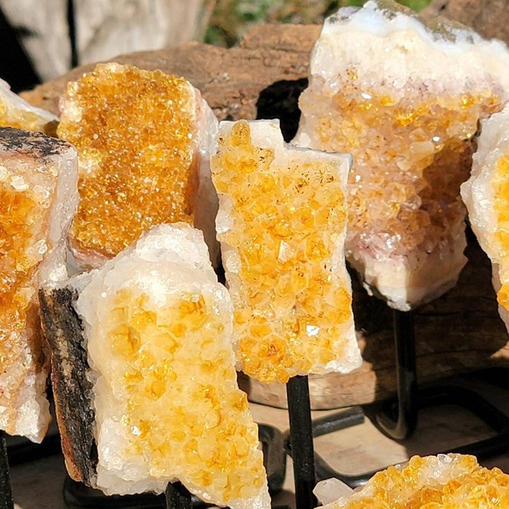 Raw Citrine Cluster on a metal stand, Stone of Abundance, Raw Citrine on a Stand, The Merchant Stone, Abundant Energy - SOUTHBAYSALTS 