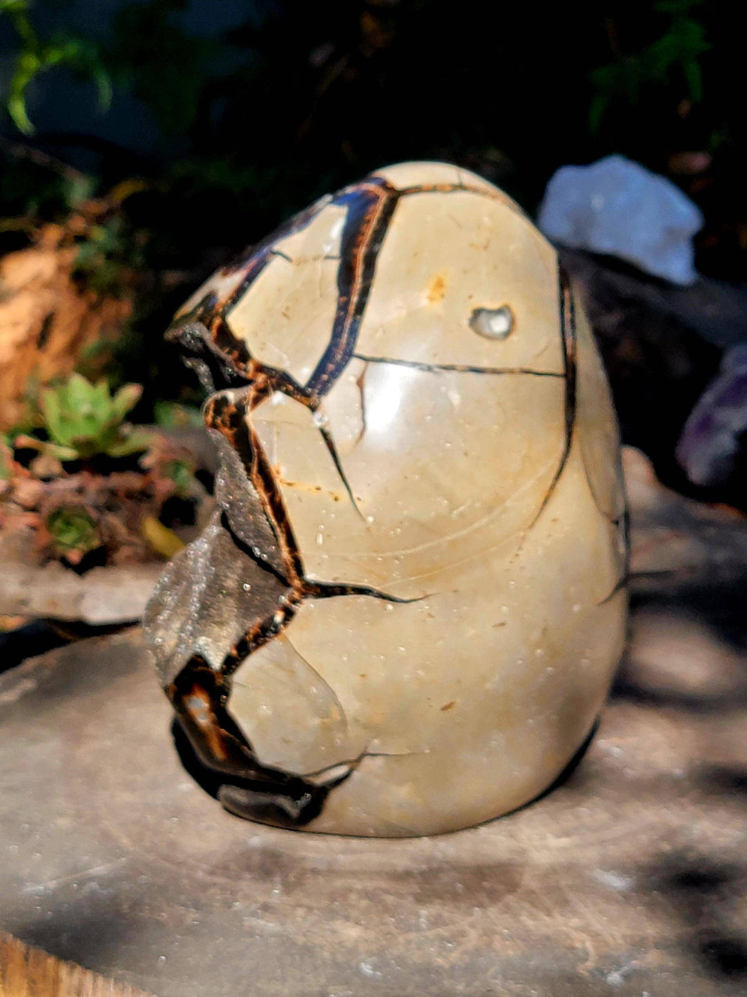 Septarian Freeform, AKA the Dragon Stone, Tranquil Vibe - SOUTHBAYSALTS 