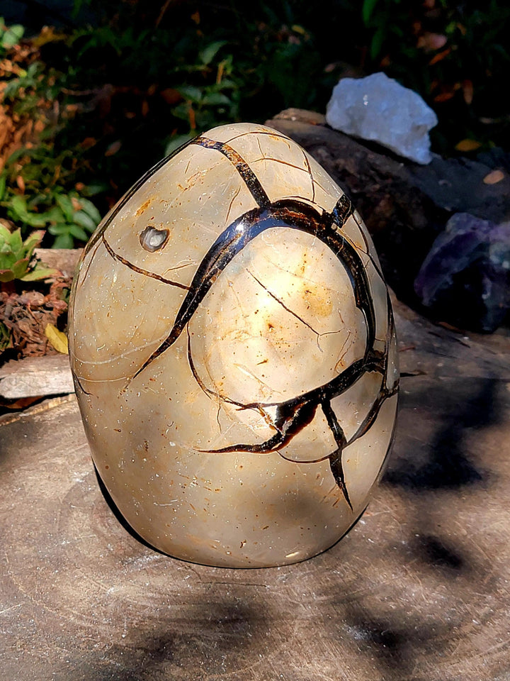 Septarian Freeform, AKA the Dragon Stone, Tranquil Vibe - SOUTHBAYSALTS 