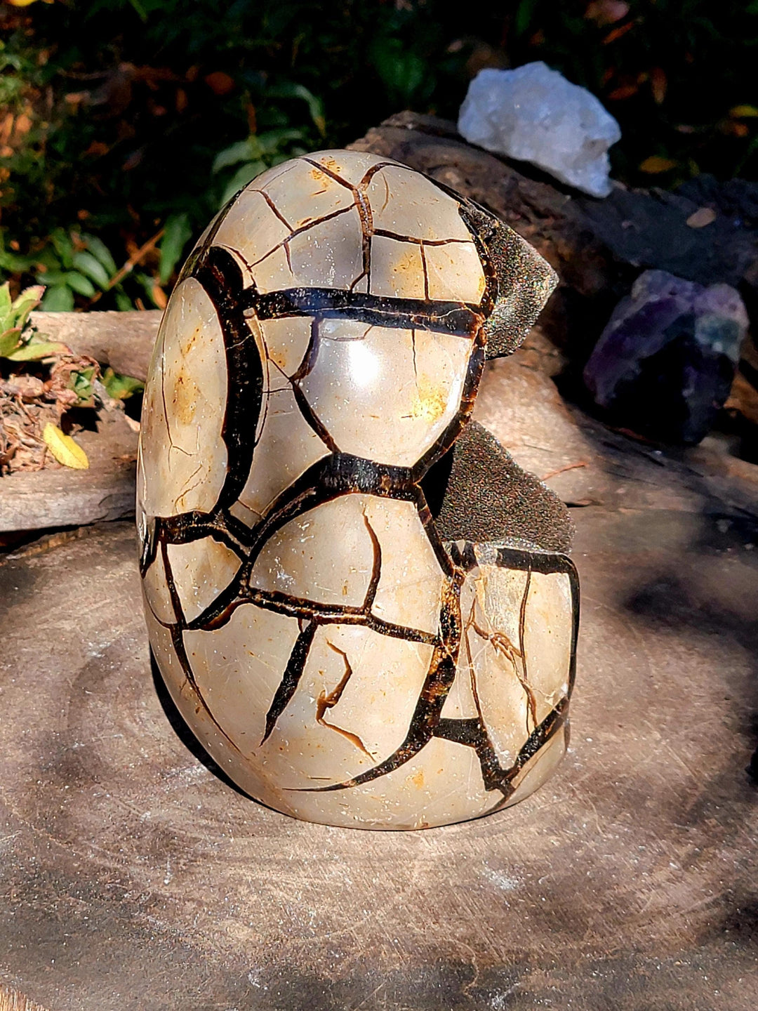 Septarian Freeform, AKA the Dragon Stone, Tranquil Vibe - SOUTHBAYSALTS 