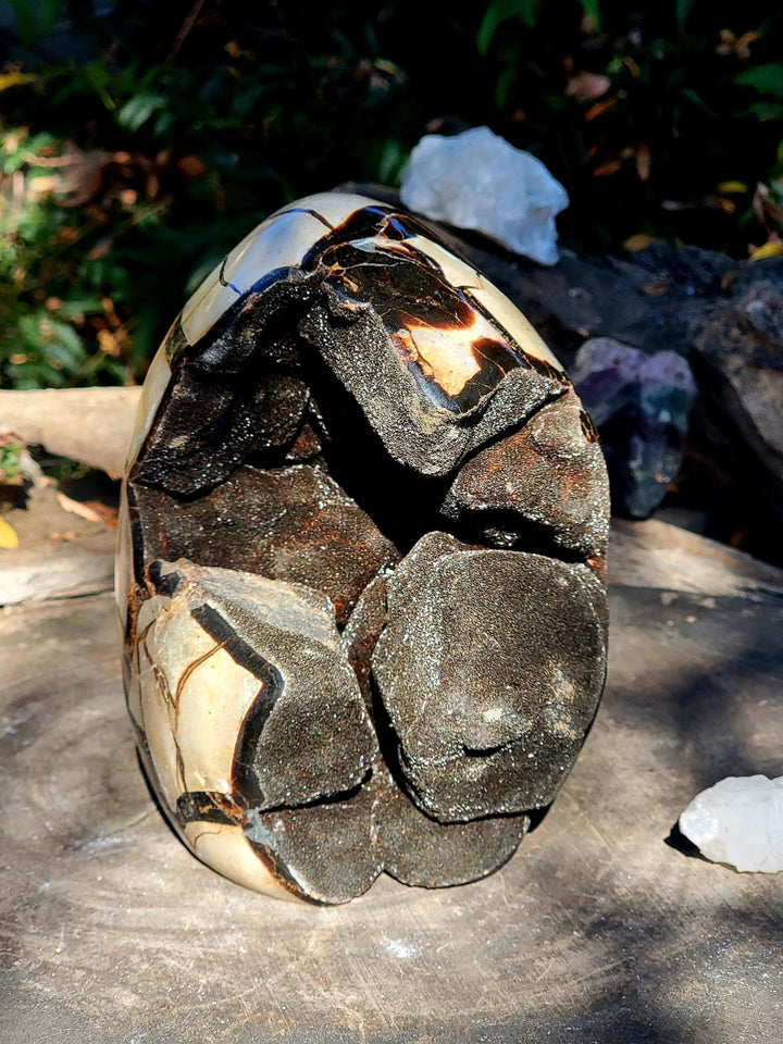 Septarian Freeform, AKA the Dragon Stone, Tranquil Vibe - SOUTHBAYSALTS 