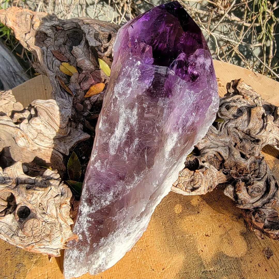 Elestial Amethyst, Bahia's Secret: Dragon’s Tooth Elestial Wands - SOUTHBAYSALTS 