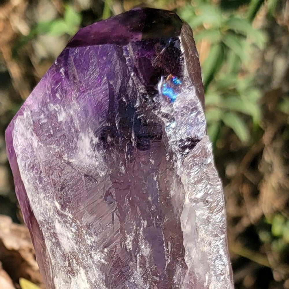 Elestial Amethyst, Bahia's Secret: Dragon’s Tooth Elestial Wands - SOUTHBAYSALTS 