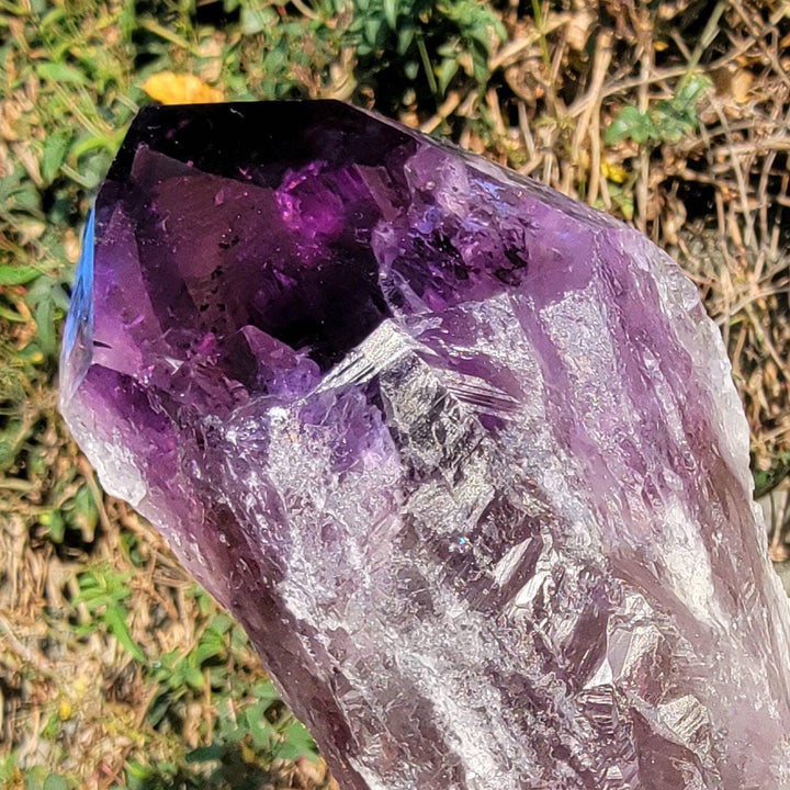 Elestial Amethyst, Bahia's Secret: Dragon’s Tooth Elestial Wands - SOUTHBAYSALTS 