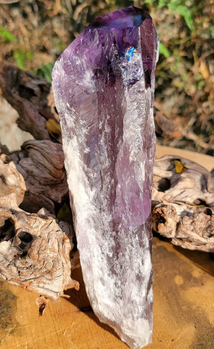 Elestial Amethyst, Bahia's Secret: Dragon’s Tooth Elestial Wands - SOUTHBAYSALTS 