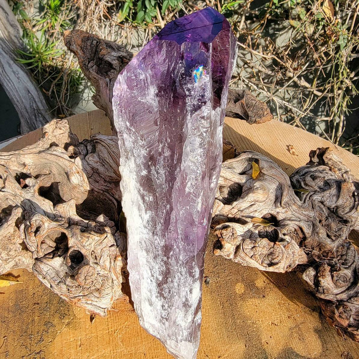 Elestial Amethyst, Bahia's Secret: Dragon’s Tooth Elestial Wands - SOUTHBAYSALTS 