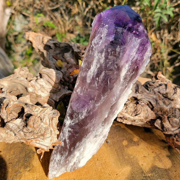 Elestial Amethyst, Bahia's Secret: Dragon’s Tooth Elestial Wands - SOUTHBAYSALTS 