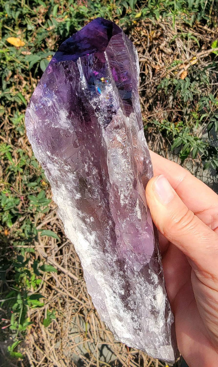 Elestial Amethyst, Bahia's Secret: Dragon’s Tooth Elestial Wands - SOUTHBAYSALTS 