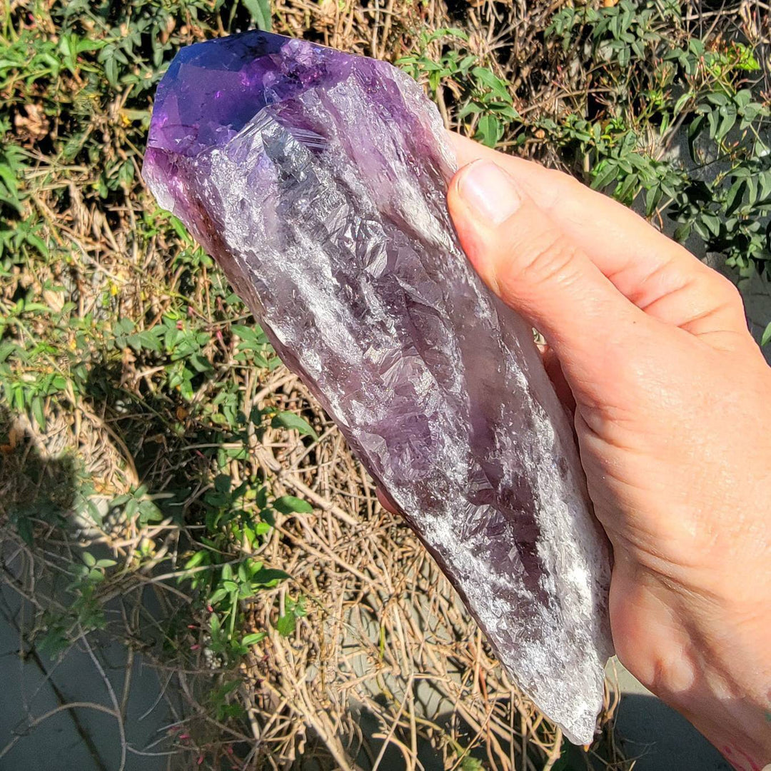 Elestial Amethyst, Bahia's Secret: Dragon’s Tooth Elestial Wands - SOUTHBAYSALTS 