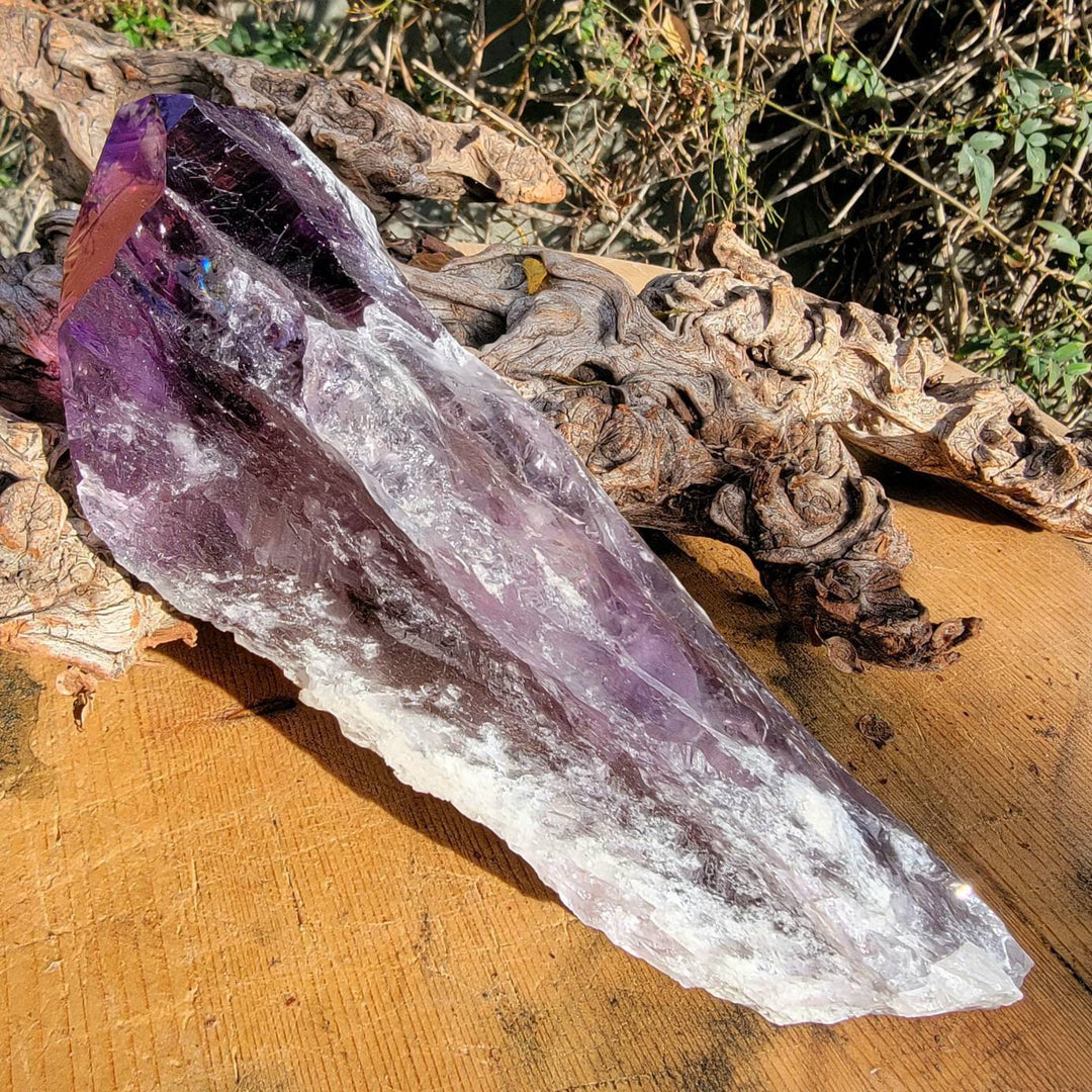 Elestial Amethyst, Bahia's Secret: Dragon’s Tooth Elestial Wands - SOUTHBAYSALTS 