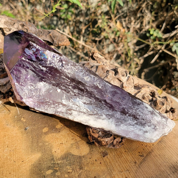 Elestial Amethyst, Bahia's Secret: Dragon’s Tooth Elestial Wands - SOUTHBAYSALTS 