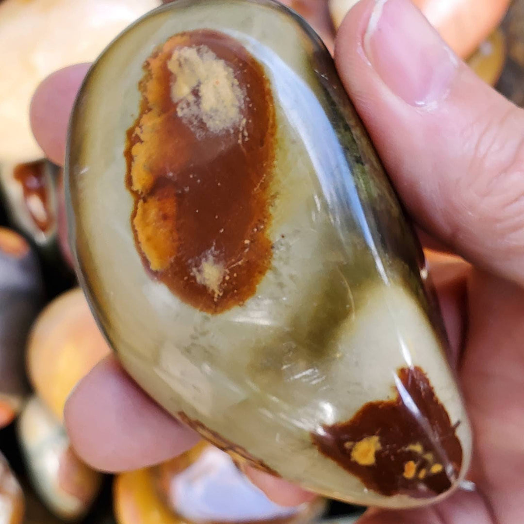 Polished Desert Jasper aka Polychrome Jasper Stones, Picture perfect Jasper for Tranquility and Protection - SOUTHBAYSALTS 