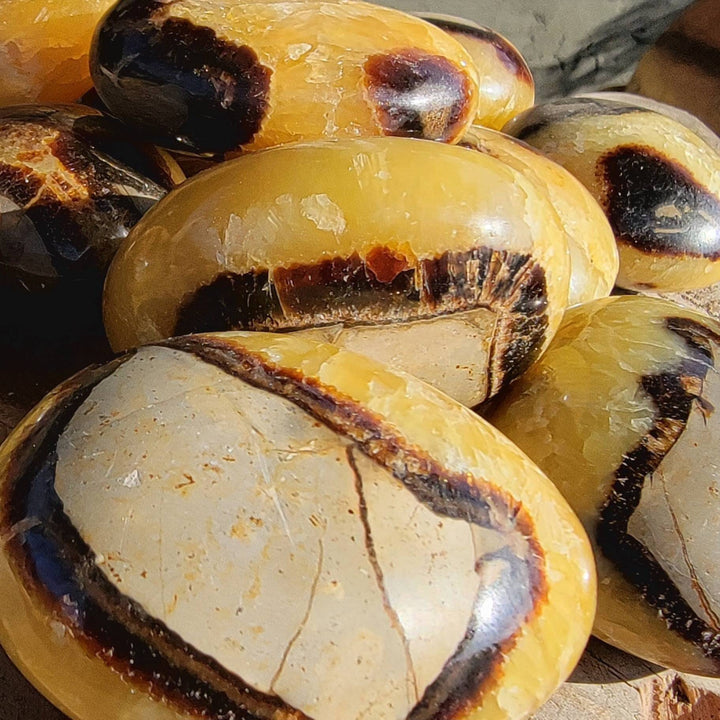 Polished Septarian Palmstones, Dragon Stone Palmstones, Polished Septarian great for Communication - SOUTHBAYSALTS 