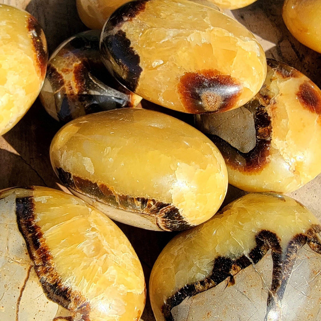 Polished Septarian Palmstones, Dragon Stone Palmstones, Polished Septarian great for Communication - SOUTHBAYSALTS 