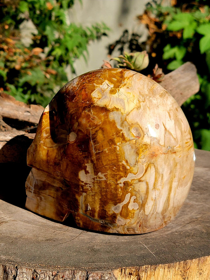 Petrified Wood Skull Carving, Stone Cold Courage: Grounded Strength in Petrified Wood - SOUTHBAYSALTS 