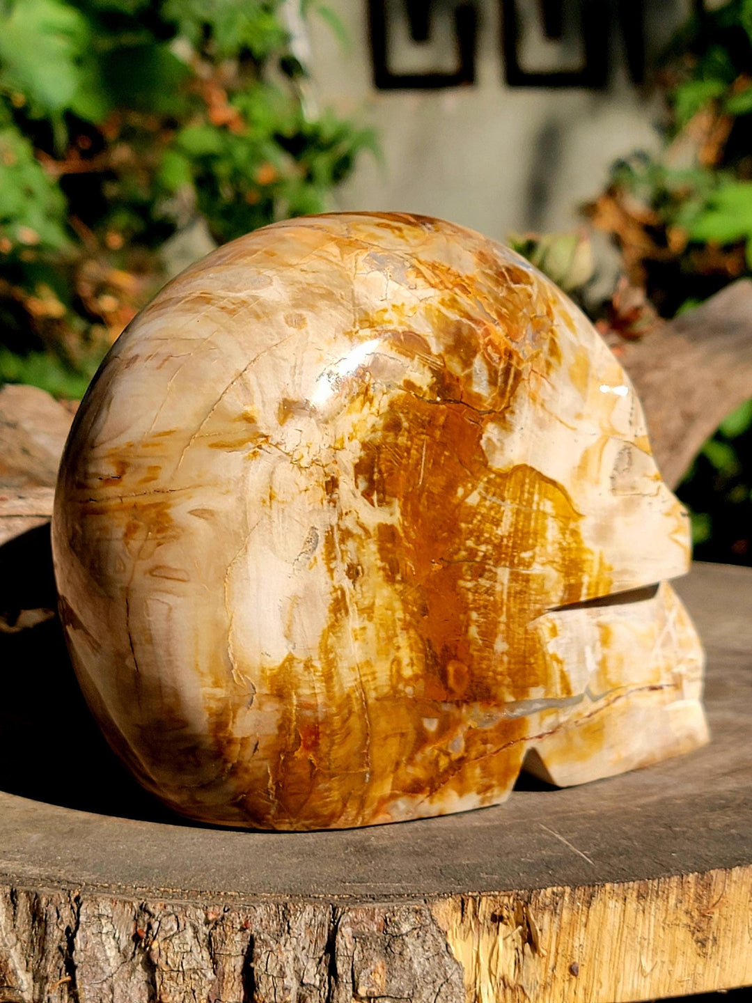 Petrified Wood Skull Carving, Stone Cold Courage: Grounded Strength in Petrified Wood - SOUTHBAYSALTS 