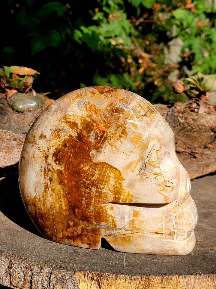 Petrified Wood Skull Carving, Stone Cold Courage: Grounded Strength in Petrified Wood - SOUTHBAYSALTS 