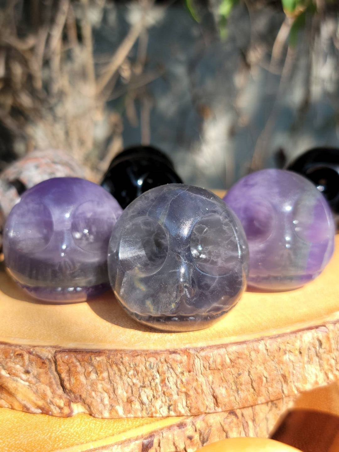 Crystal Jack Skulls, Skull Squad: Bring Joy and Clarity with Adorable Carved Personalities - SOUTHBAYSALTS 