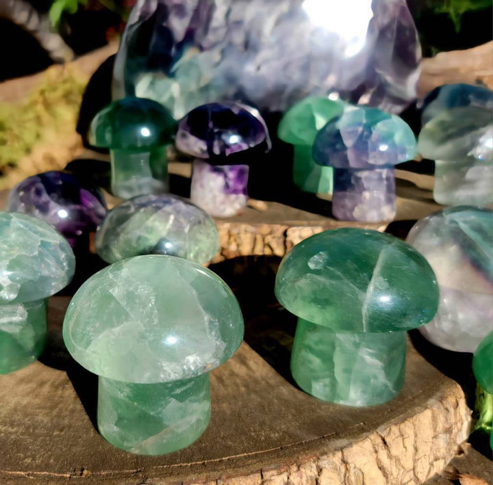 Vibrant Fluorite Crystal Mushrooms, Magical Fluorite Mushrooms, Energy of Clarity and form of Strength combine in one - SOUTHBAYSALTS 