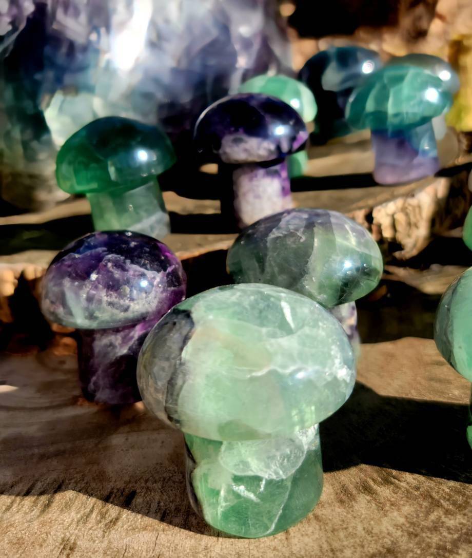 Vibrant Fluorite Crystal Mushrooms, Magical Fluorite Mushrooms, Energy of Clarity and form of Strength combine in one - SOUTHBAYSALTS 