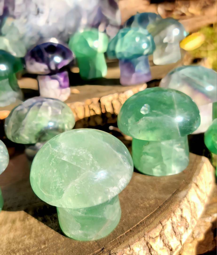 Vibrant Fluorite Crystal Mushrooms, Magical Fluorite Mushrooms, Energy of Clarity and form of Strength combine in one - SOUTHBAYSALTS 