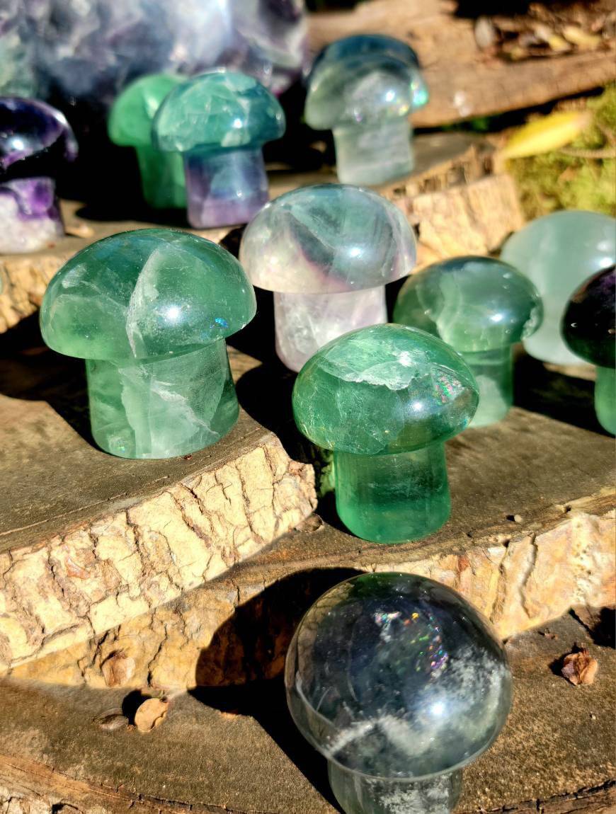 Vibrant Fluorite Crystal Mushrooms, Magical Fluorite Mushrooms, Energy of Clarity and form of Strength combine in one - SOUTHBAYSALTS 