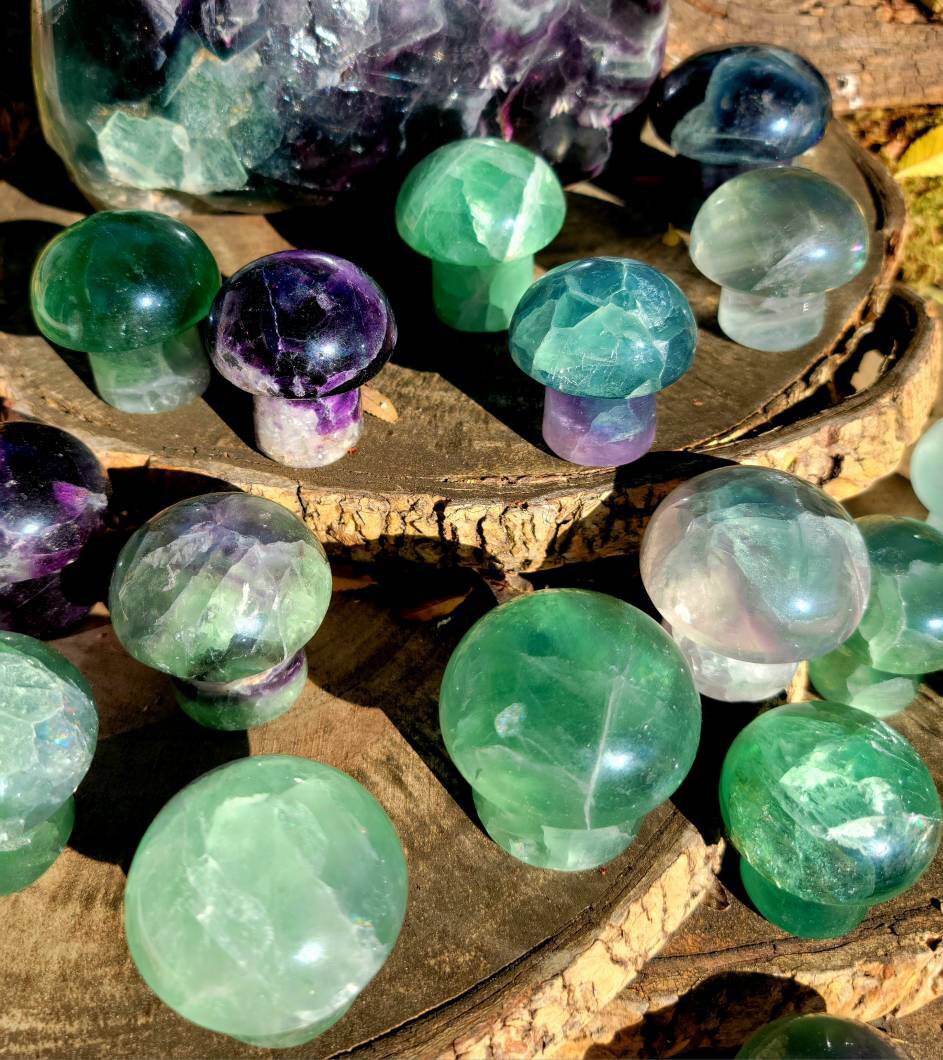 Vibrant Fluorite Crystal Mushrooms, Magical Fluorite Mushrooms, Energy of Clarity and form of Strength combine in one - SOUTHBAYSALTS 