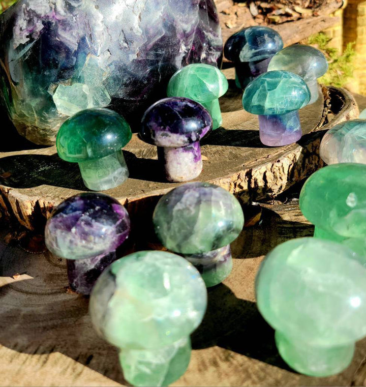 Vibrant Fluorite Crystal Mushrooms, Magical Fluorite Mushrooms, Energy of Clarity and form of Strength combine in one - SOUTHBAYSALTS 