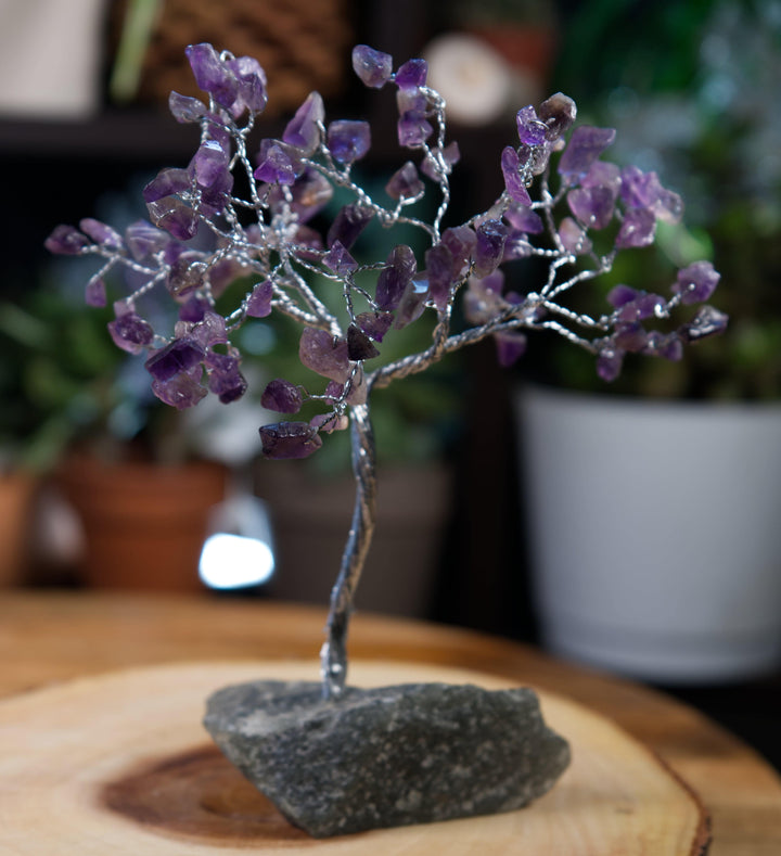 Crystal Amethyst Trees, Grow Your Own Magic: Crystal Abundance Tree Creation - SOUTHBAYSALTS 