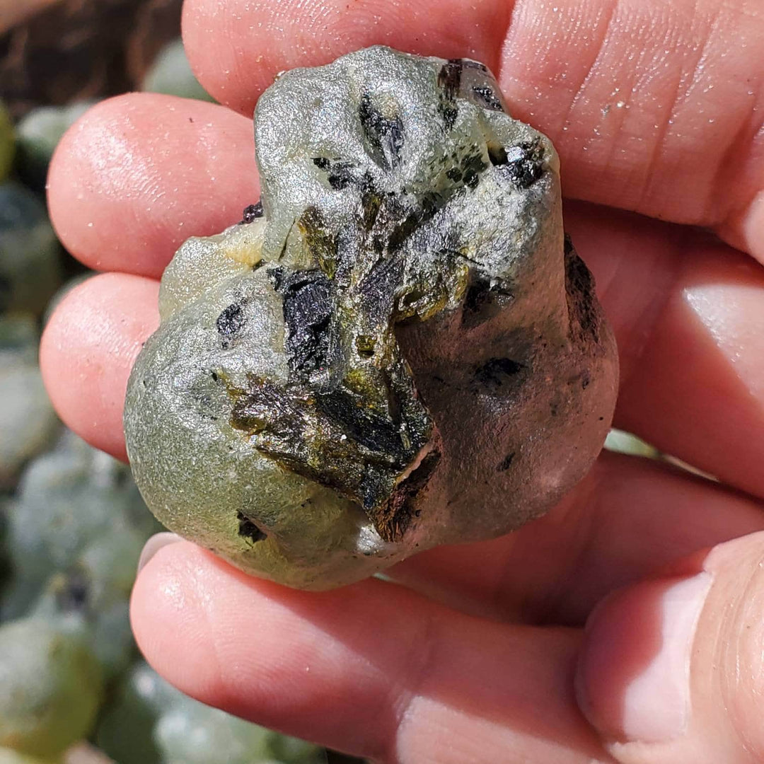 Healers Healing Stone Prehnite with Epidote,  Divine Fusion: Harness Peace and Insight with the Ultimate Healer's Crystal! - SOUTHBAYSALTS 