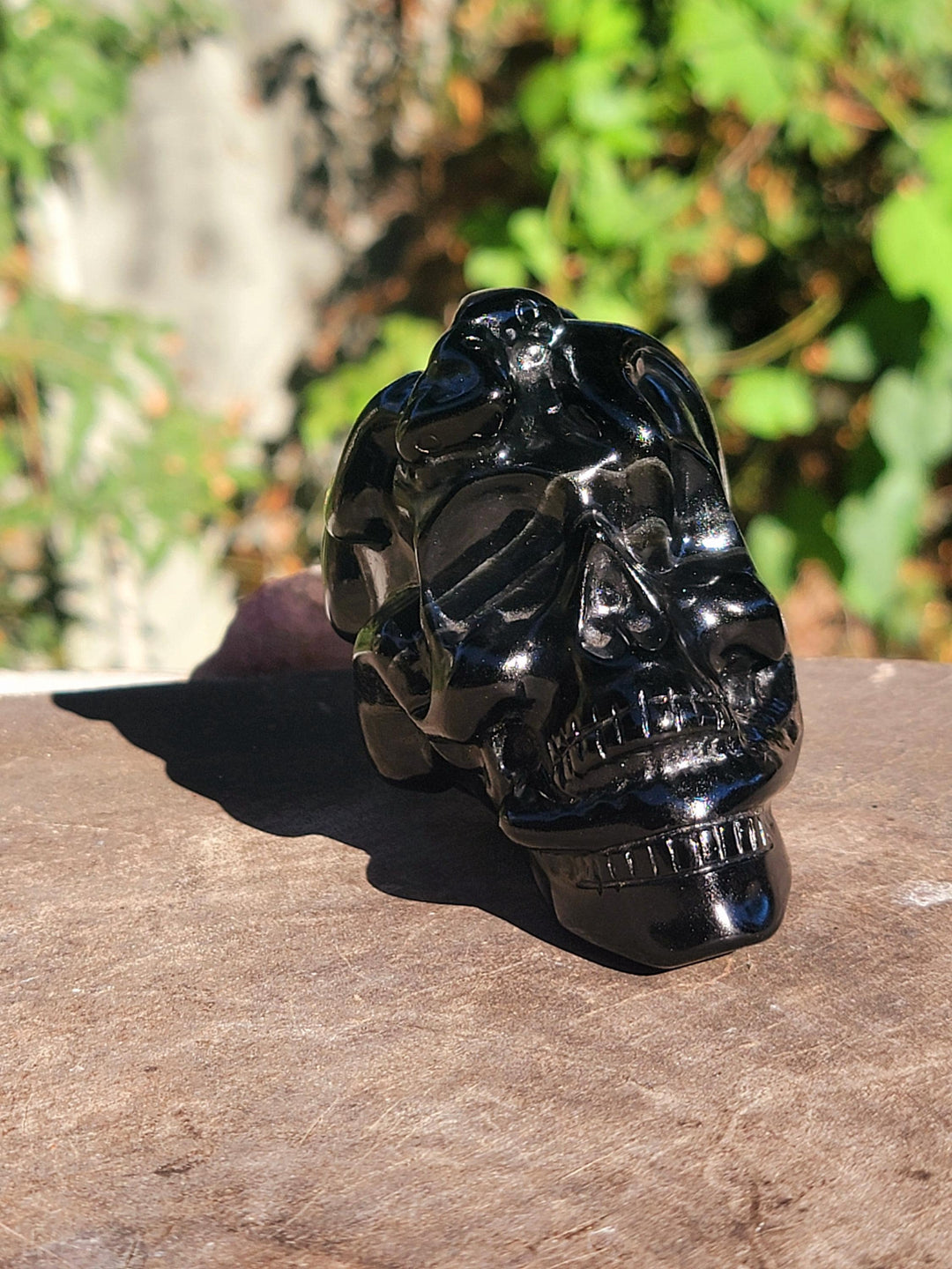 Obsidian Skull, Skull & Serpent: The Dance of Transformation - SOUTHBAYSALTS 