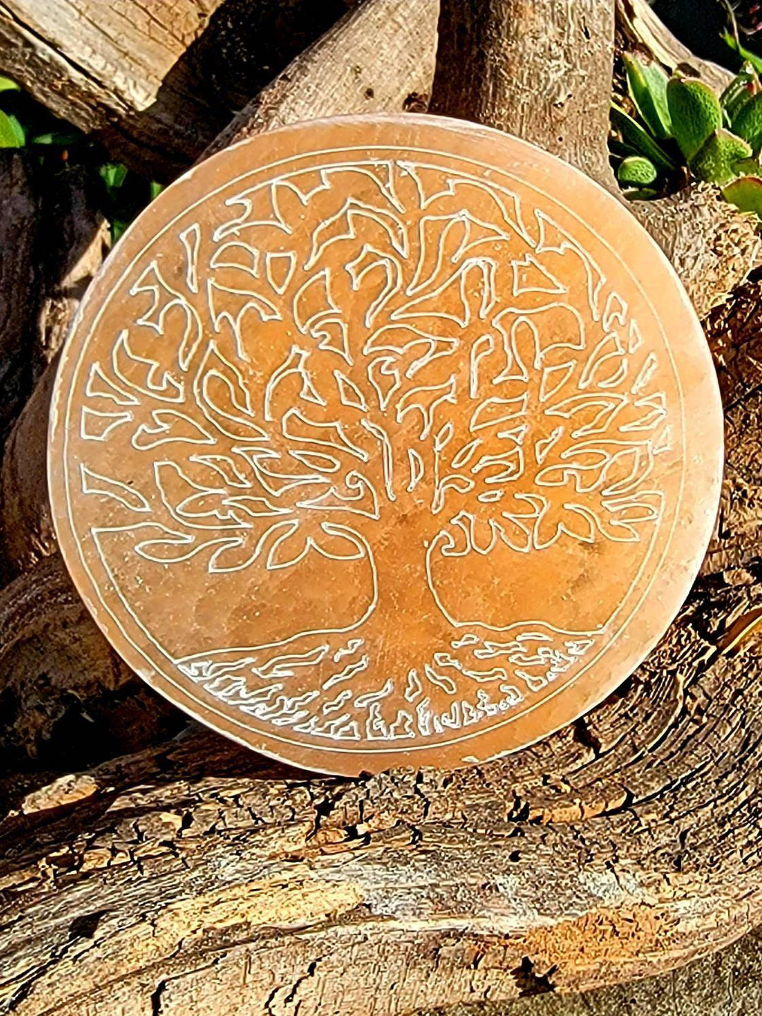 Orange Selenite Tree of Life Plate, Morrocan Selenite Tree of Life Plate - SOUTHBAYSALTS 