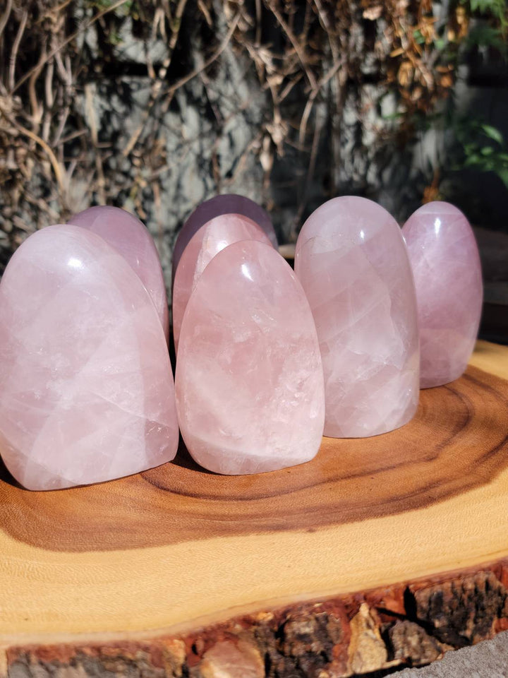 Polished Rose Quartz Freeforms, Polished Rose Quartz, Self Love and Love for others Crystal - SOUTHBAYSALTS 