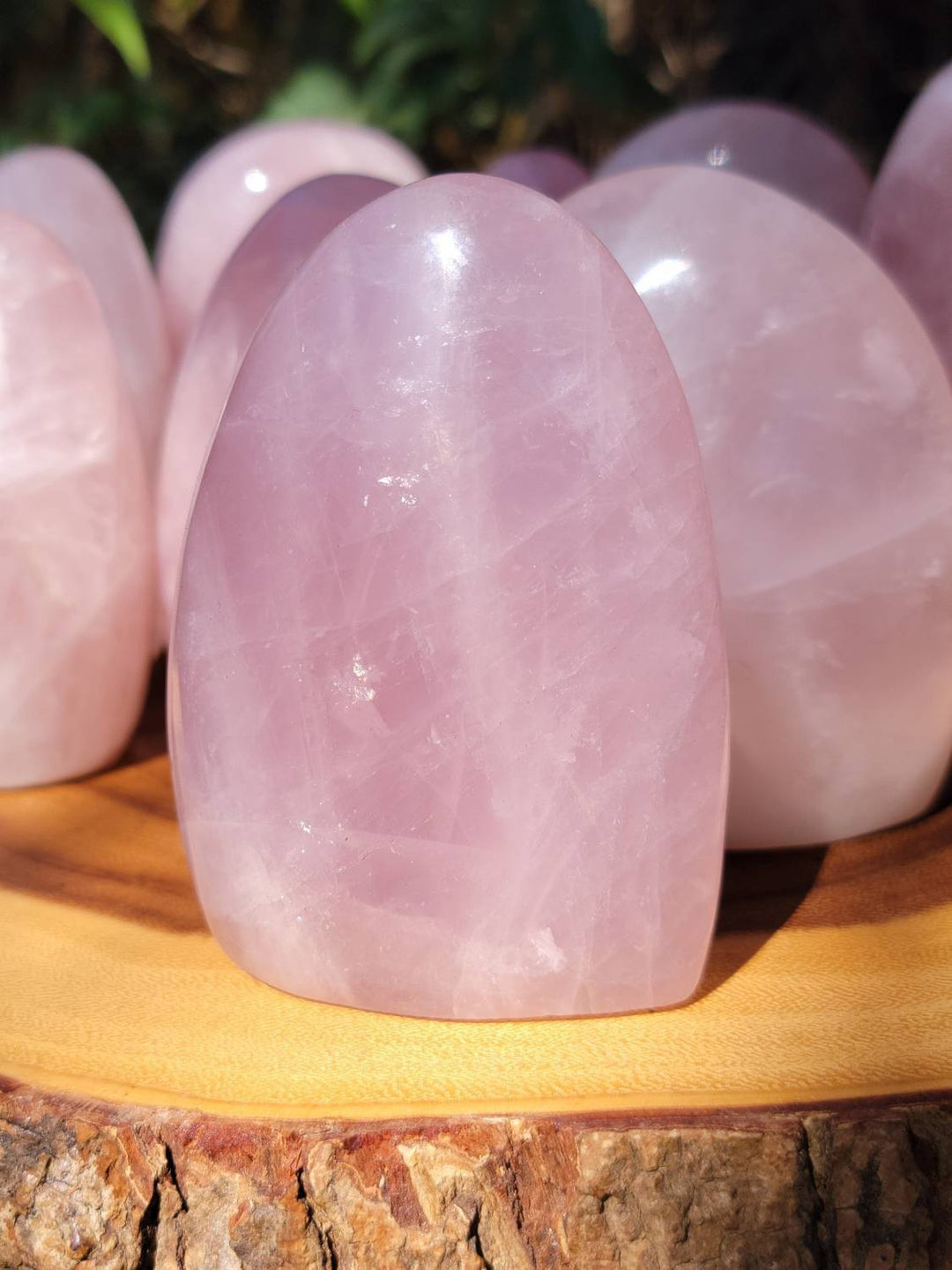 Polished Rose Quartz Freeforms, Polished Rose Quartz, Self Love and Love for others Crystal - SOUTHBAYSALTS 