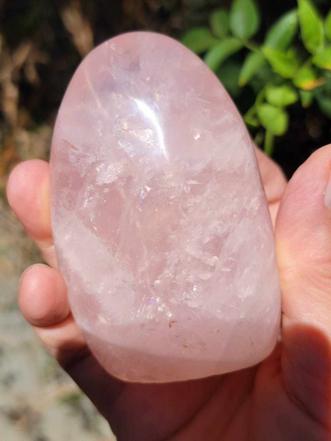 Polished Rose Quartz Freeforms, Polished Rose Quartz, Self Love and Love for others Crystal - SOUTHBAYSALTS 