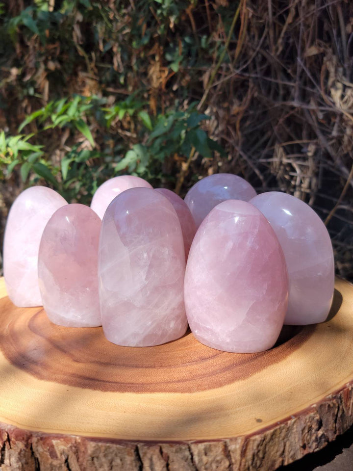 Polished Rose Quartz Freeforms, Polished Rose Quartz, Self Love and Love for others Crystal - SOUTHBAYSALTS 