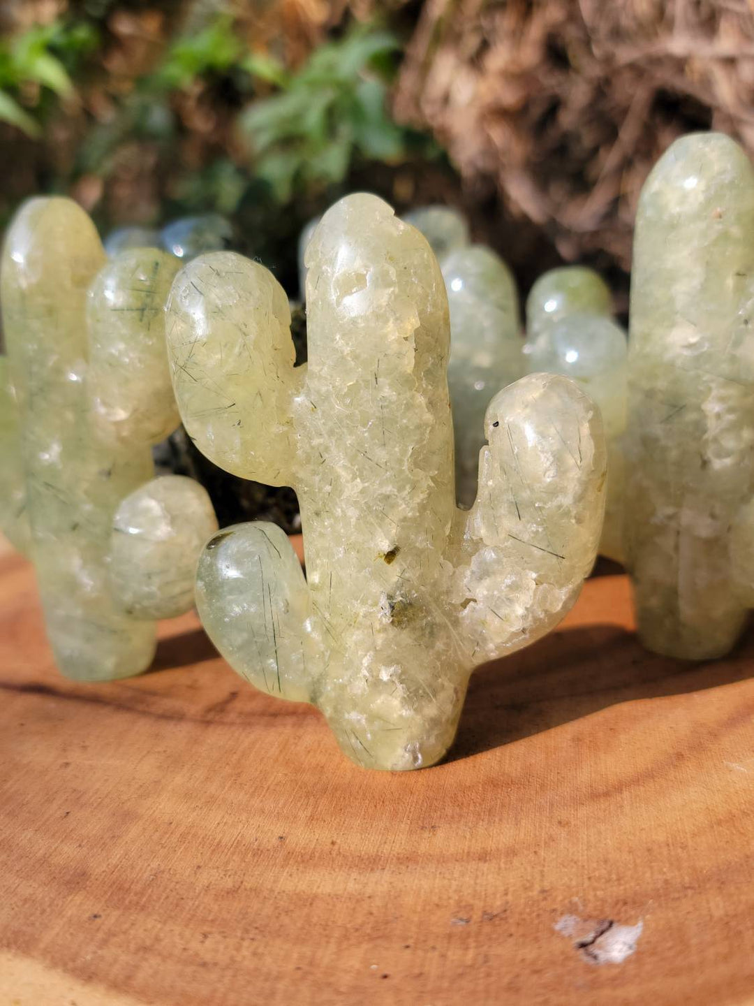 Prehnite Cactus with Epidote, Polished Prehnite, The Healers Healing Stone - SOUTHBAYSALTS 