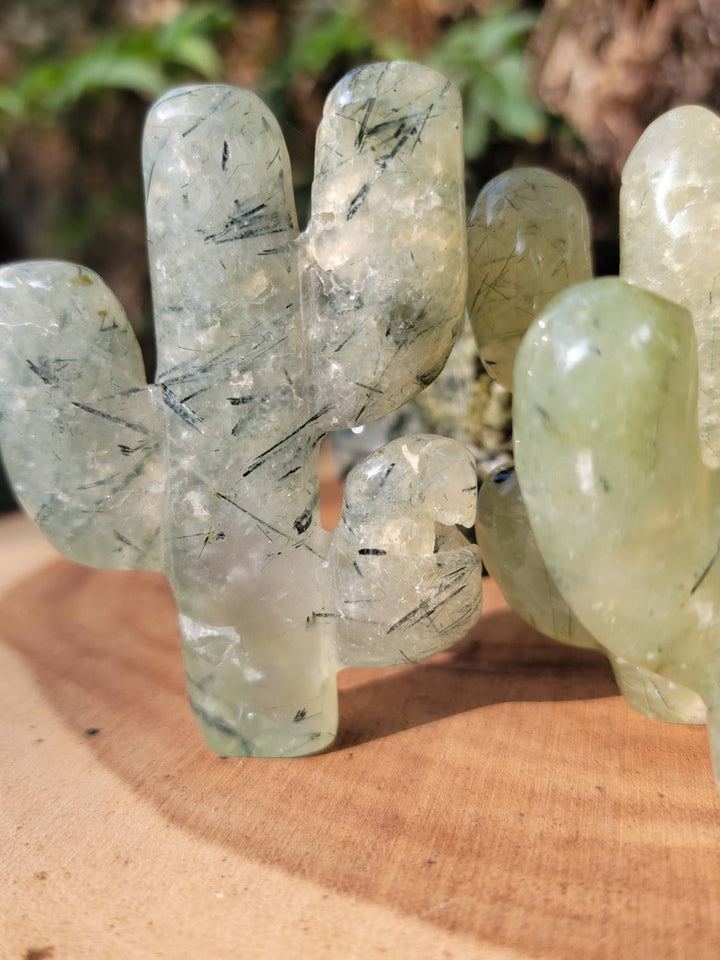 Prehnite Cactus with Epidote, Polished Prehnite, The Healers Healing Stone - SOUTHBAYSALTS 