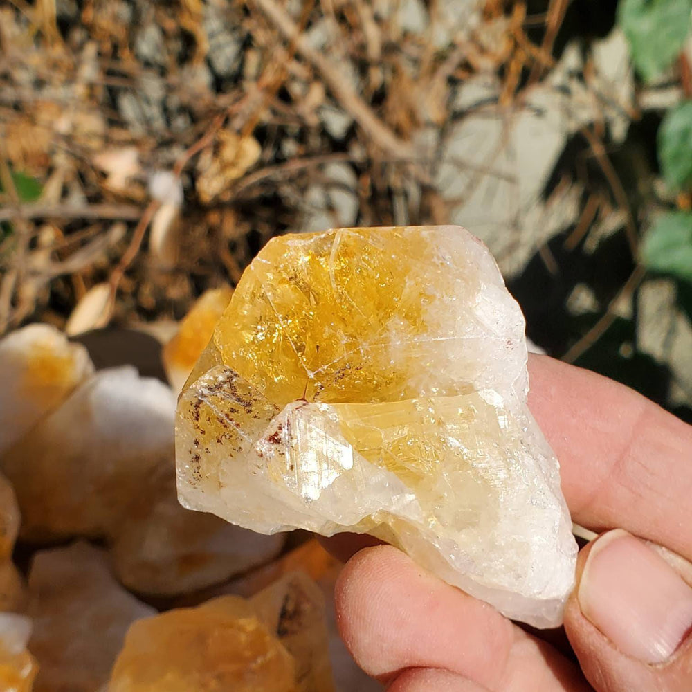 Raw Citrine Points,  Different Shapes of Citrine Points, Citrine the Merchants Stone - SOUTHBAYSALTS 