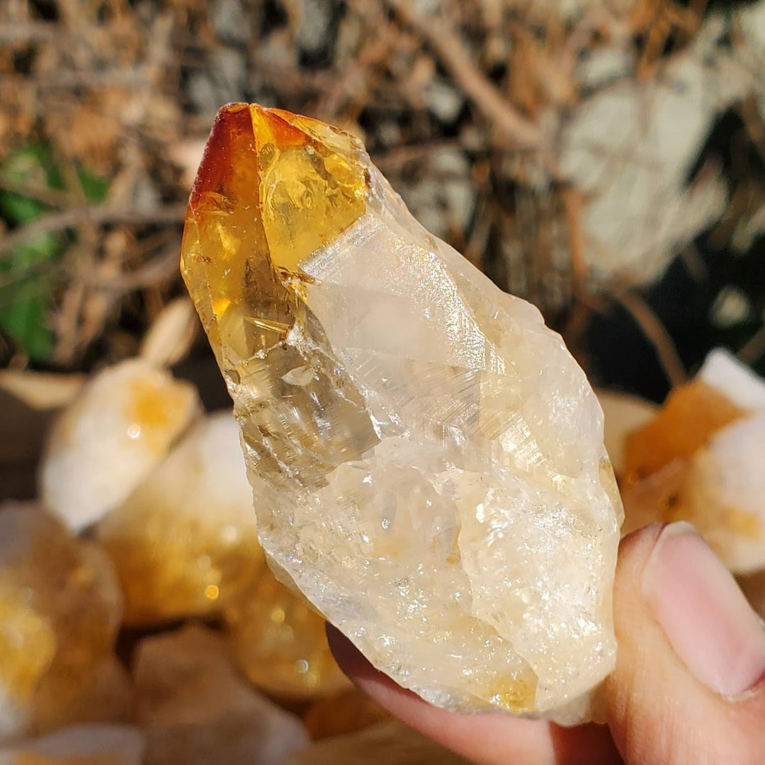 Raw Citrine Points,  Different Shapes of Citrine Points, Citrine the Merchants Stone - SOUTHBAYSALTS 