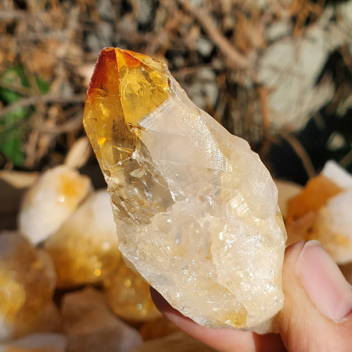 Raw Citrine Points,  Different Shapes of Citrine Points, Citrine the Merchants Stone - SOUTHBAYSALTS 